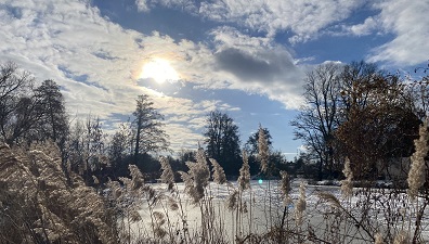 Winterbild Alterlanger See